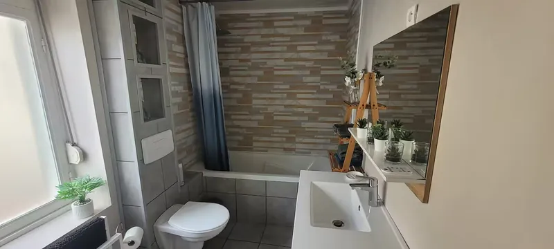 Salle de bain avec baignoire-douche